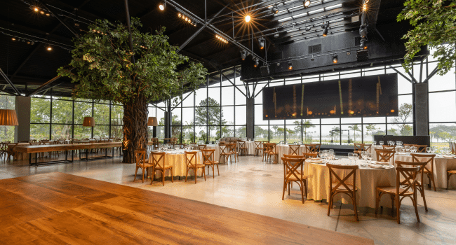 TikTok Sports Bar Aesthetic