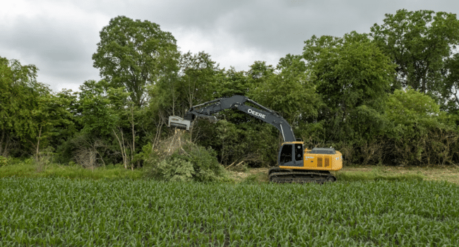 Tree Removal