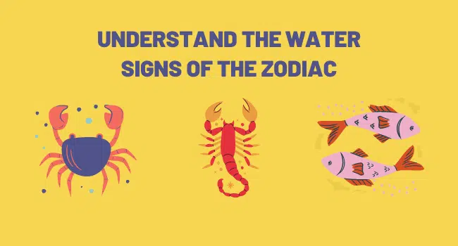 Understand the Water Signs of the Zodiac