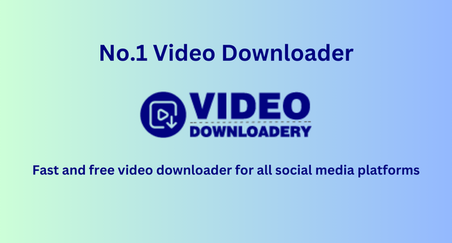 Videodownloadery - Online Video Downloader