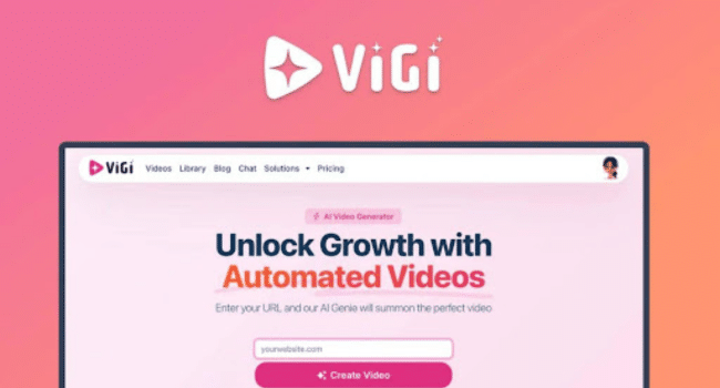 Vigi Video