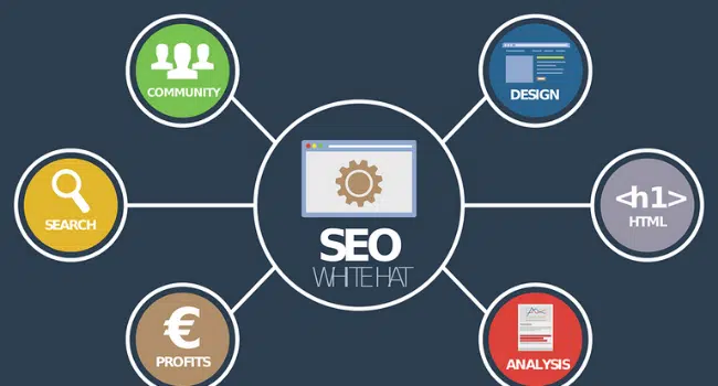 What is SEO