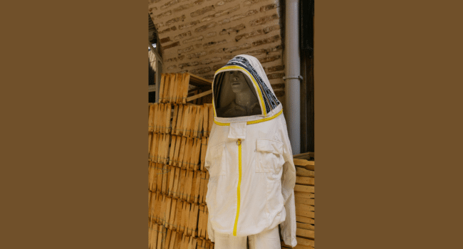 Why Farmers Should Consider Raising Bees