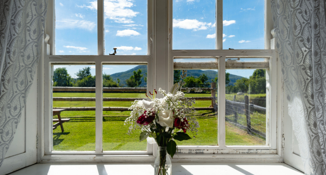 Why Window Replacement