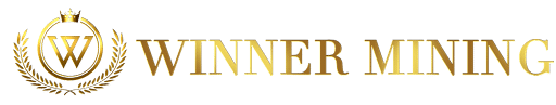 WinnerMining