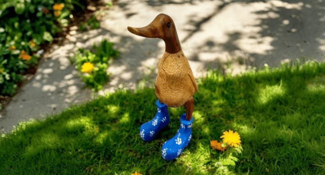 Wooden Duck