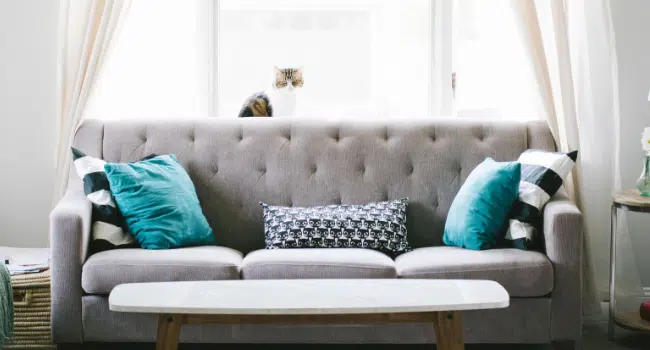 buying guide for sofa set furniture