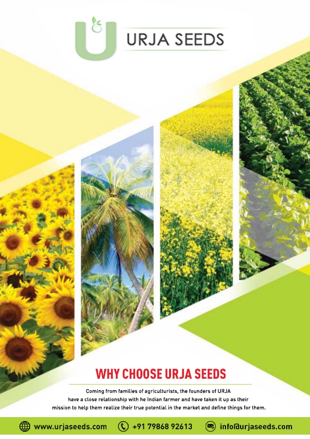 Agriculture-Seeds-Urjaseeds