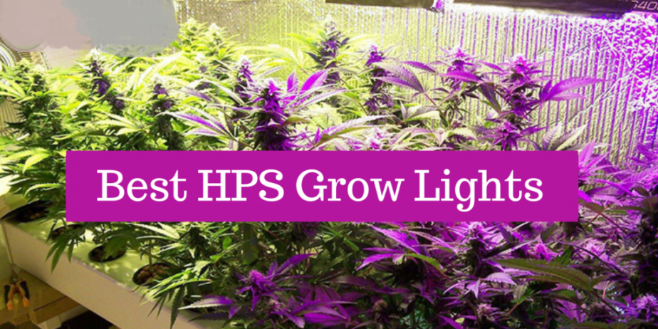 best-hps-grow-lights…
