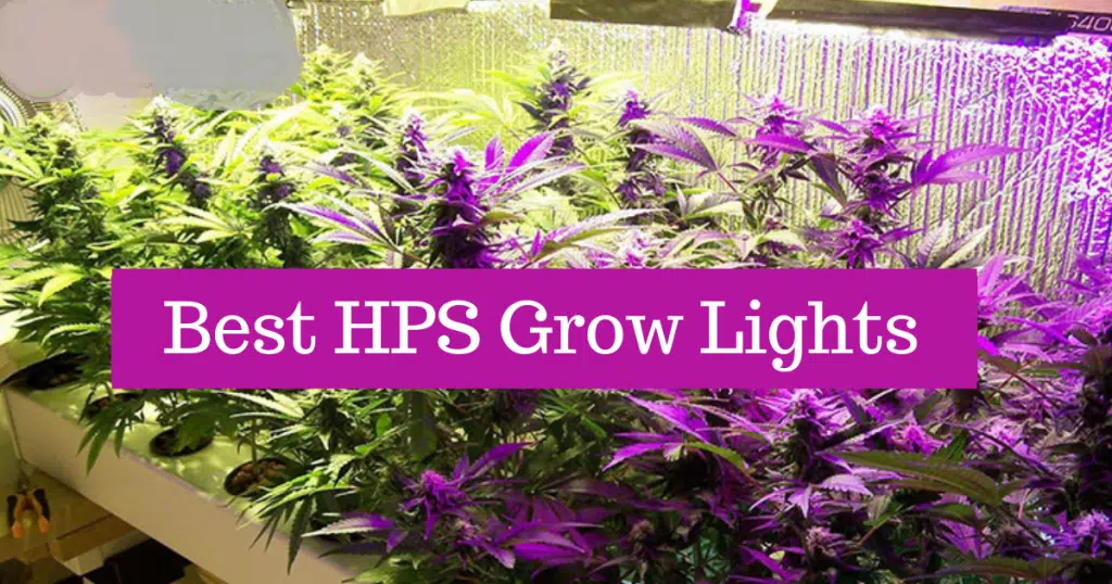 best-hps-grow-lights…