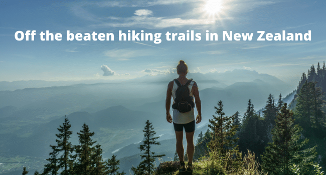hiking trails in New Zealand