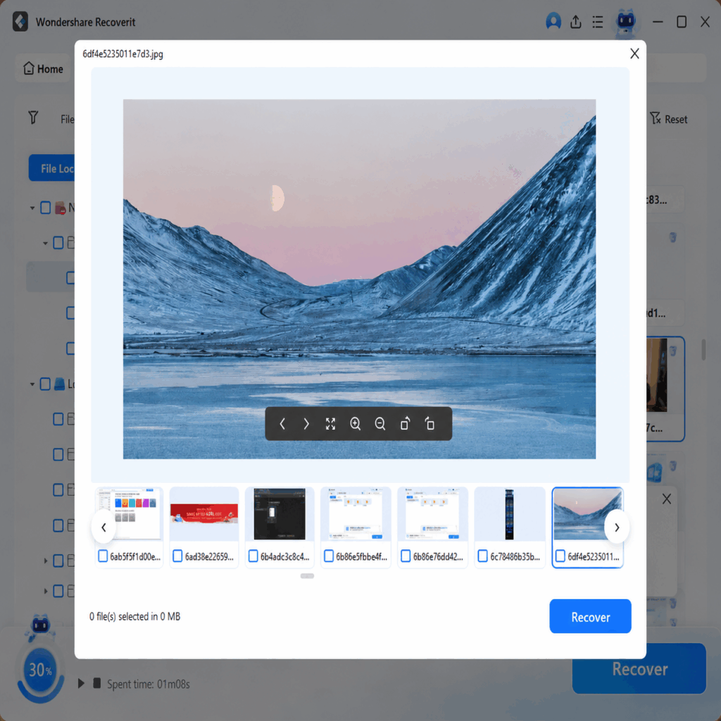 Preview and recover deleted photos from SD card safely