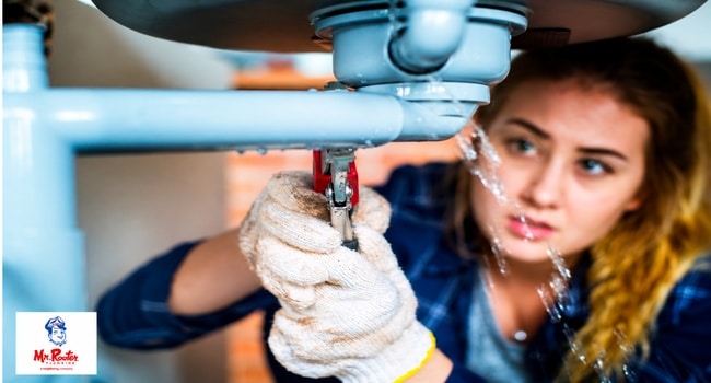 professional plumbing services